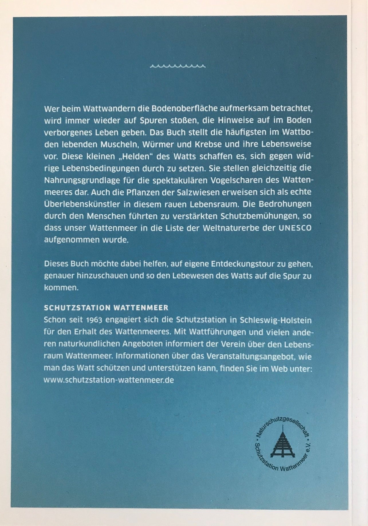 Das Watt – Lebensraum auf den zweiten Blick