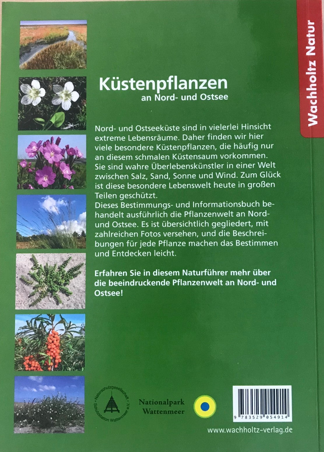 Küstenpflanzen an Nord- und Ostsee Taschenbuch