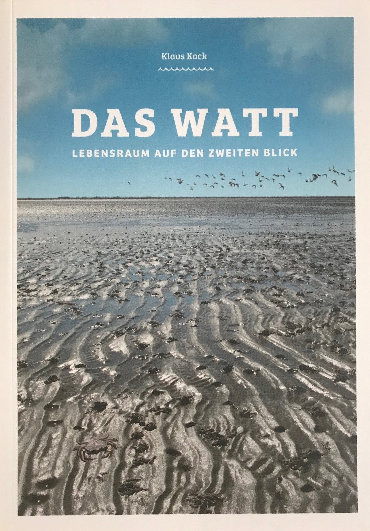 Das Watt – Lebensraum auf den zweiten Blick